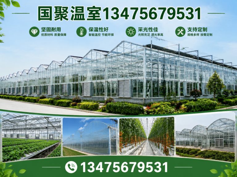 昌邑市国聚温室展示图